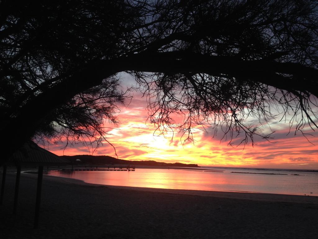 Nautilus Retreat Kalbarri B&B 외부 사진